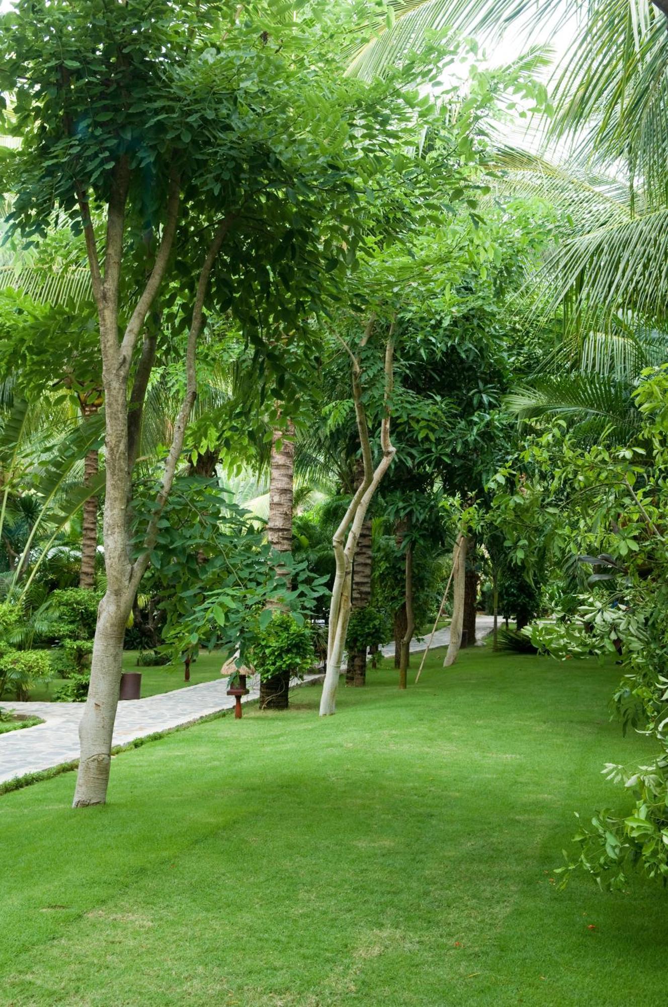 Cham Villas Resort Mũi Né Kültér fotó